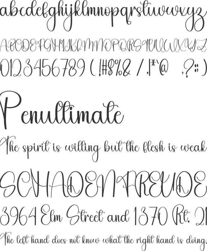 Something Signature font preview