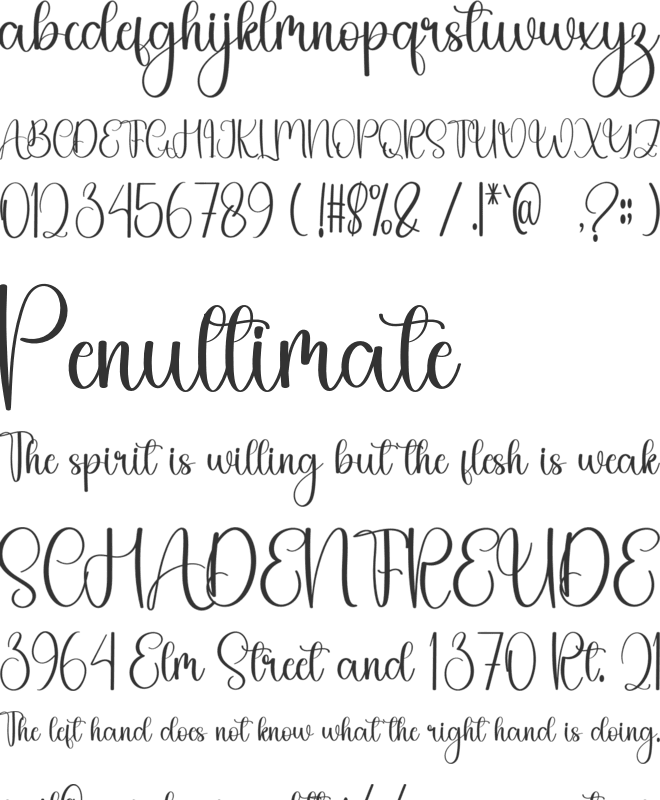 Showtime font preview