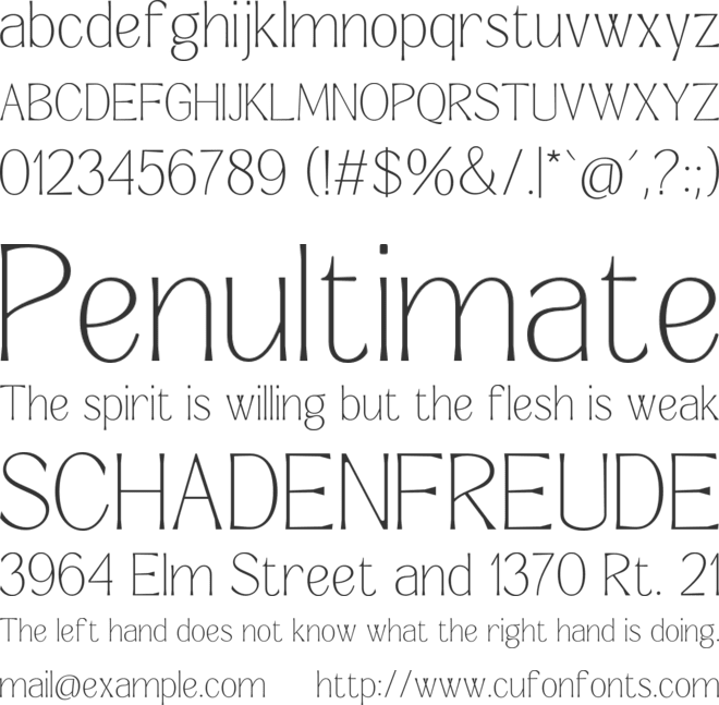 Signora Classica font preview
