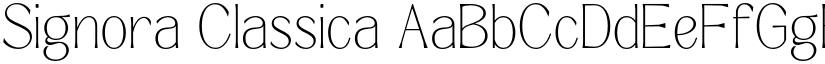 Signora Classica font