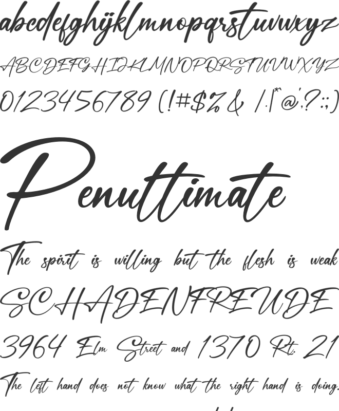 Monetera Signatura font preview