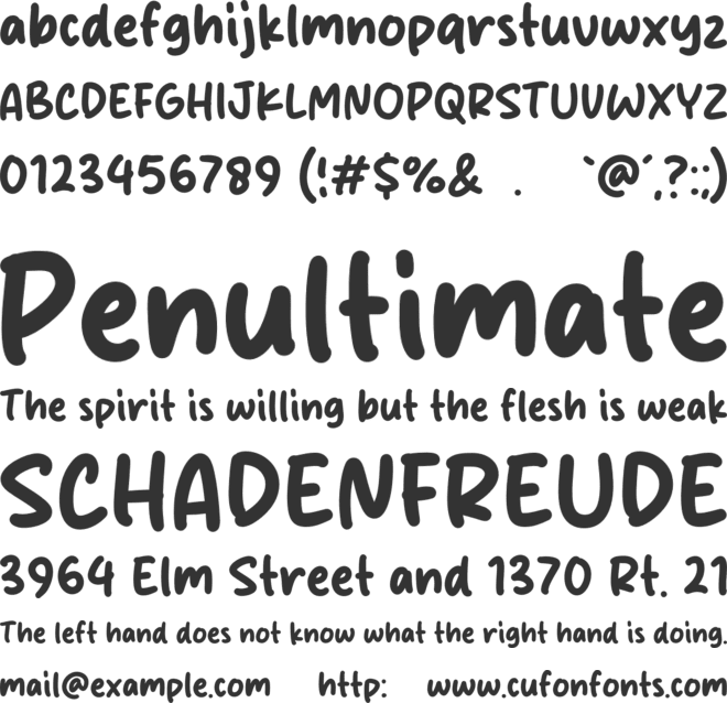 Wild Salmon font preview