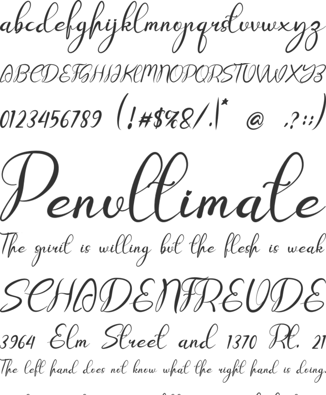 Setup font preview