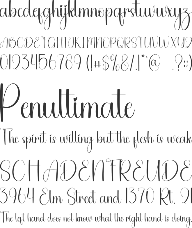 Winteresting font preview