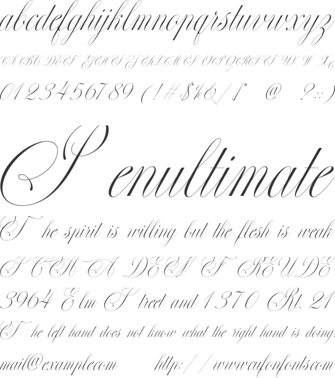 Perfections font preview