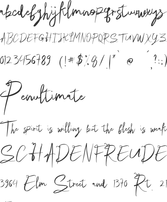 Voltastory Signature font preview
