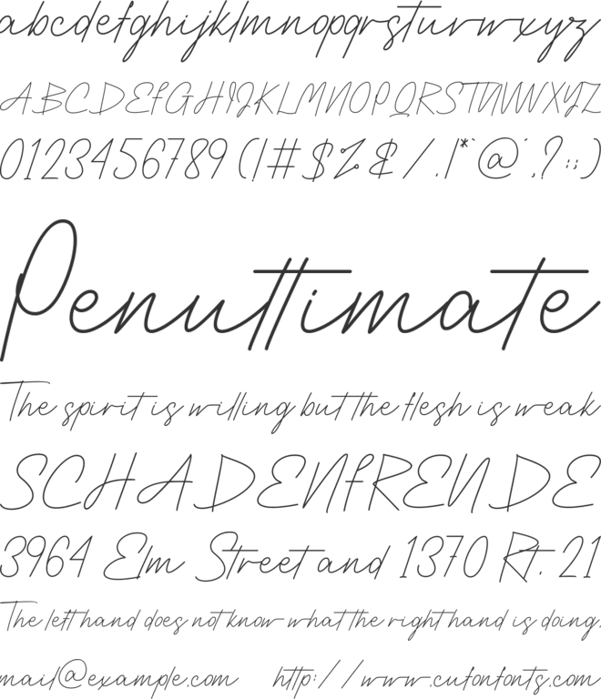 Captures font preview