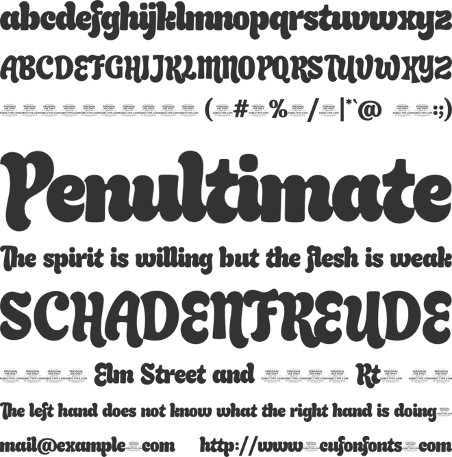 Rockout Vintage font preview