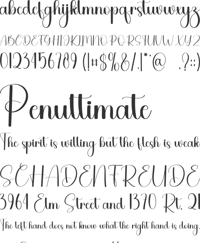 Daily Date font preview