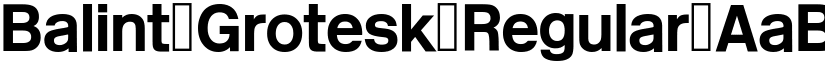 Balint Grotesk Regular font