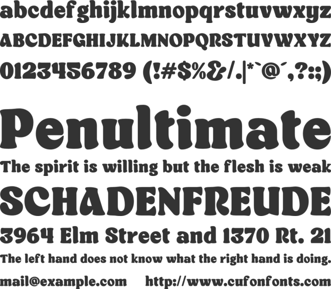 Roflake font preview