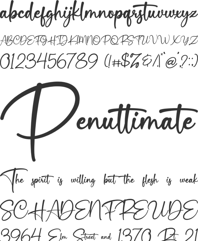 Beastien Signattura font preview