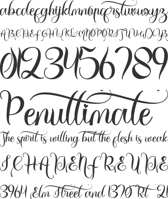 Beautiful Shakila Monogram font preview