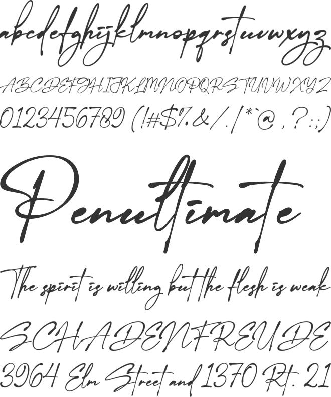 Clarity Signature font preview