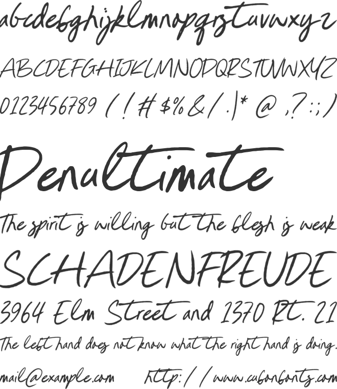 Authentic Strokes font preview