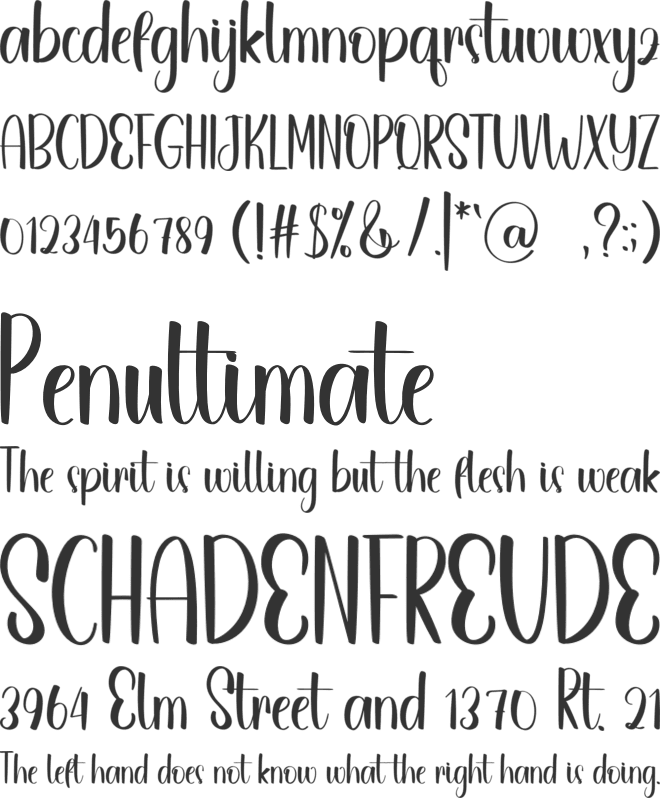 Study Business font preview