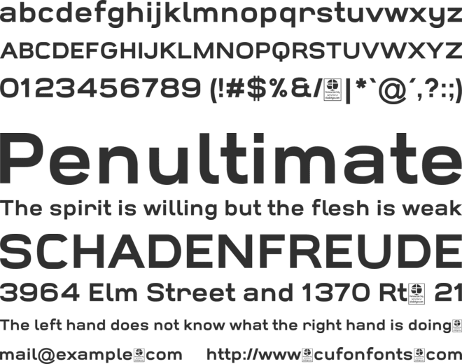 Widolte Bold Demo font preview