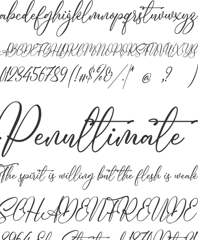 Diego Mary font preview