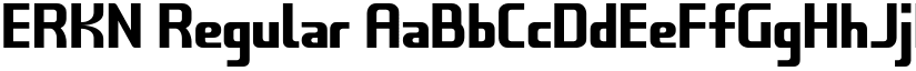 ERKN font download