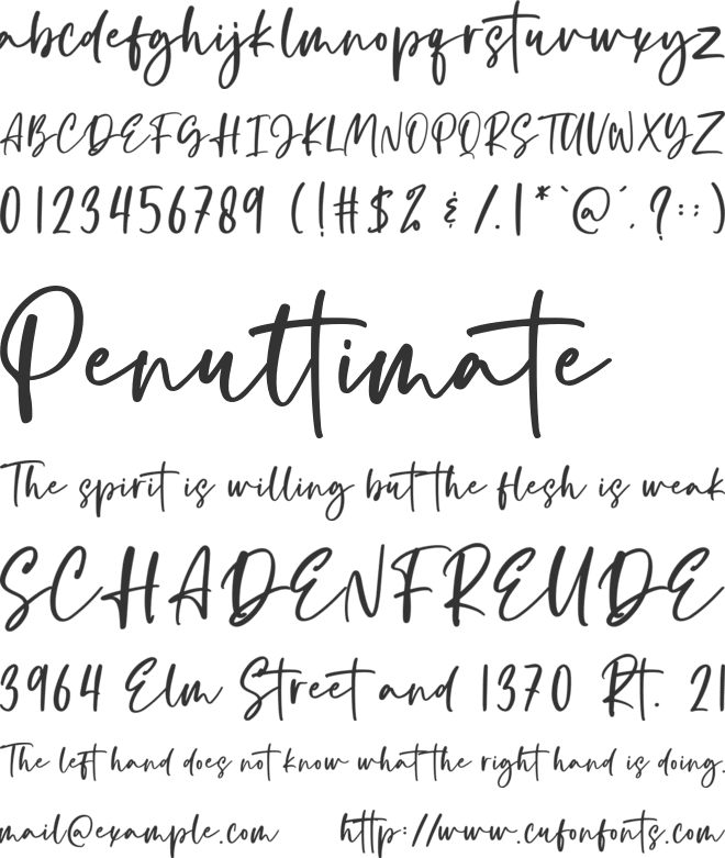 South Paradise font preview