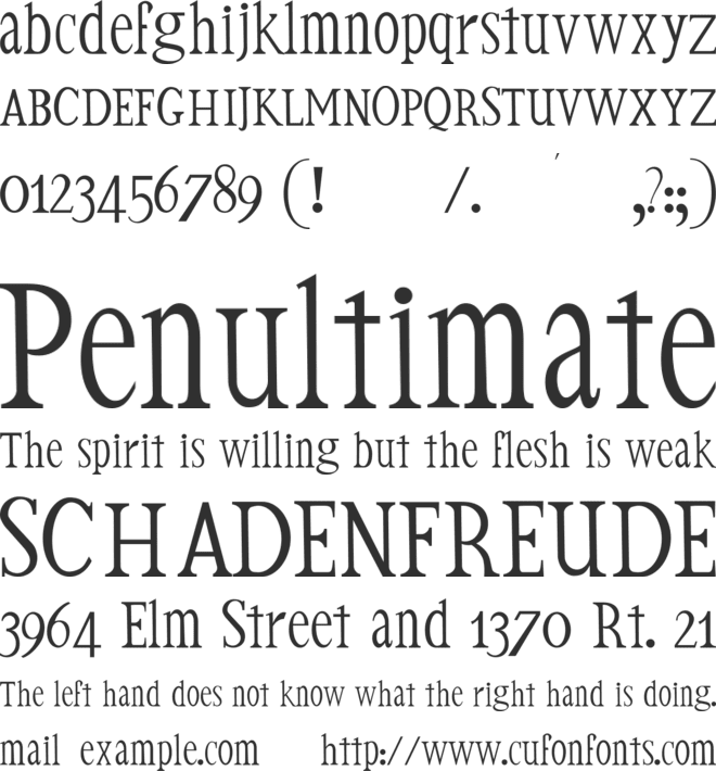 witka font preview