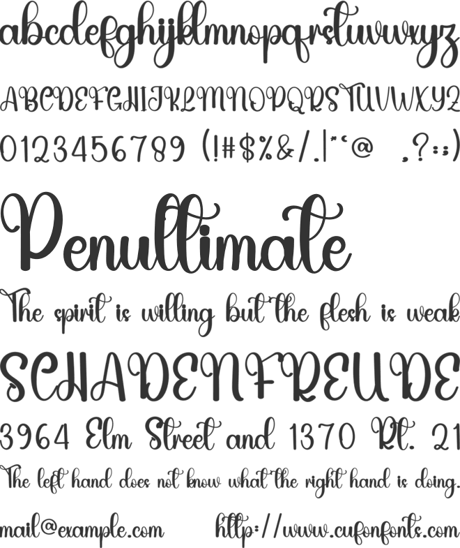 Monday Learning font preview