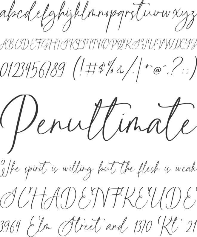 Rainlight font preview