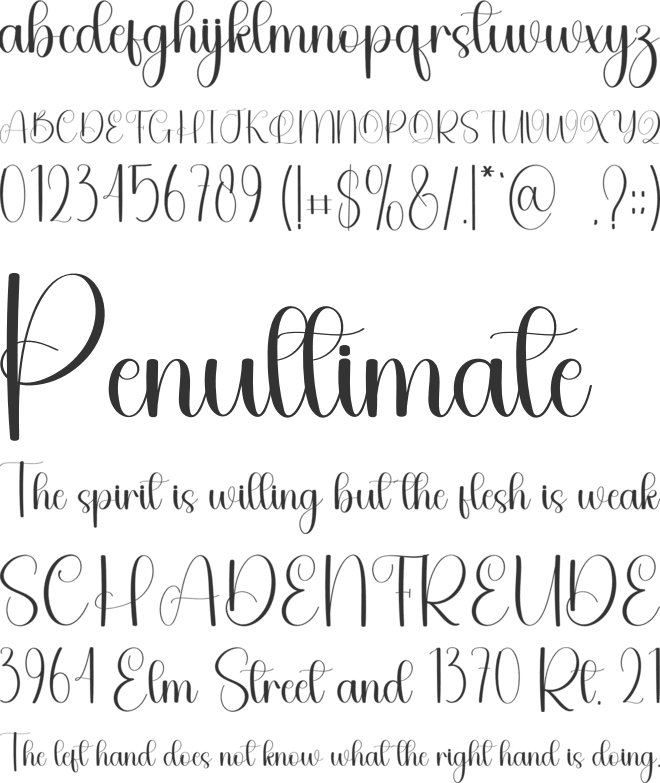 Wedding Moment font preview