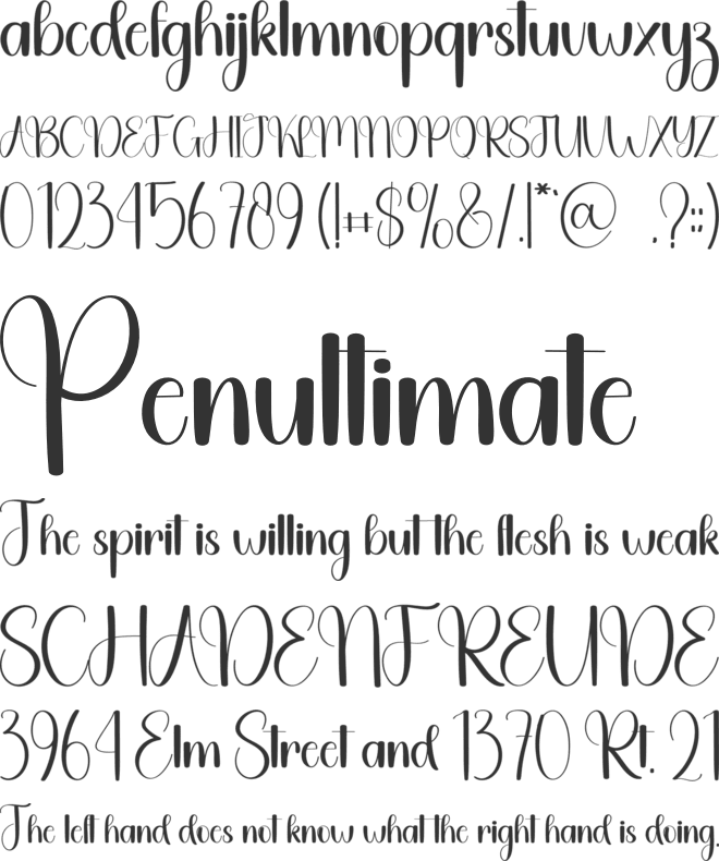 Wedding Teacher font preview