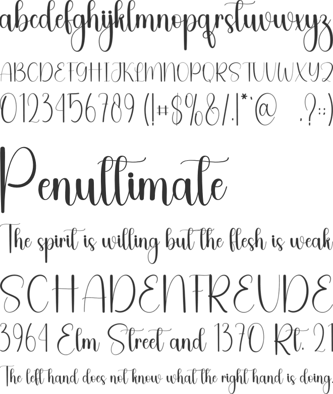 Blink Dream font preview