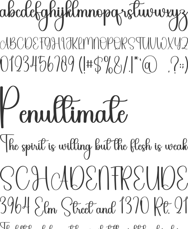 Stylish Productly font preview