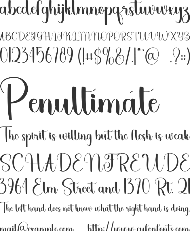Birthday Present font preview