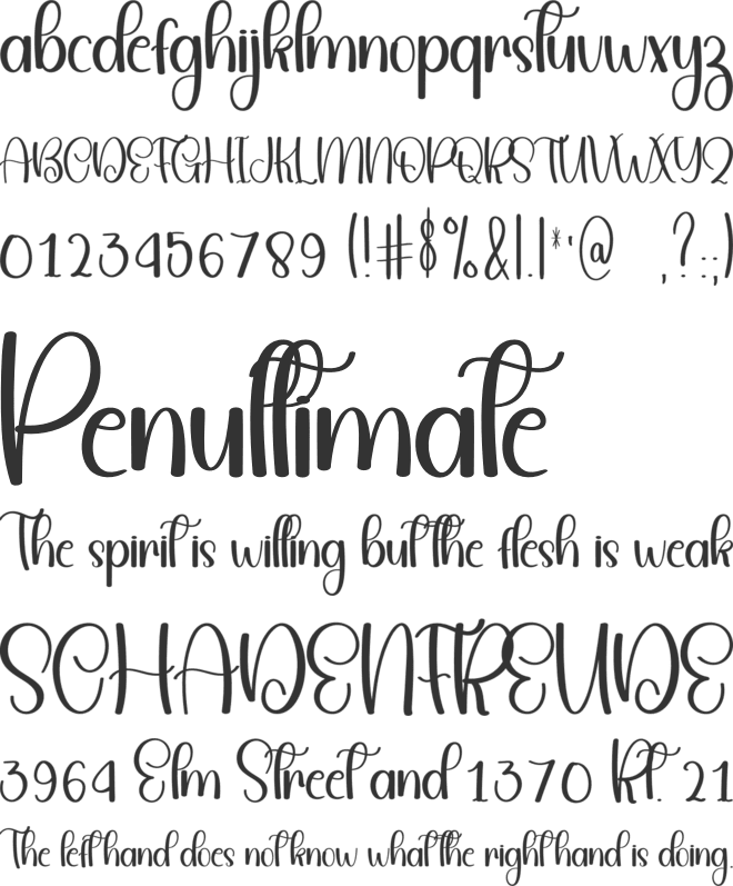 Baverly font preview