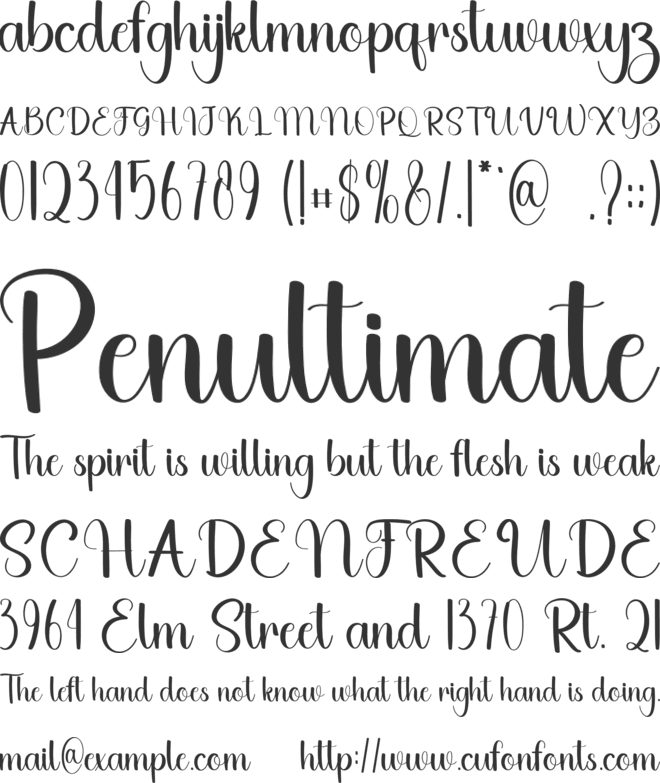 Black Planner font preview