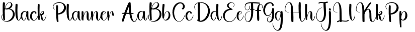 Black Planner font download