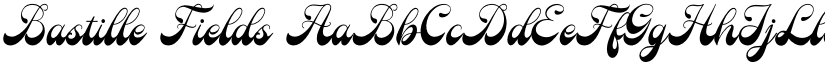 Bastille Fields font download