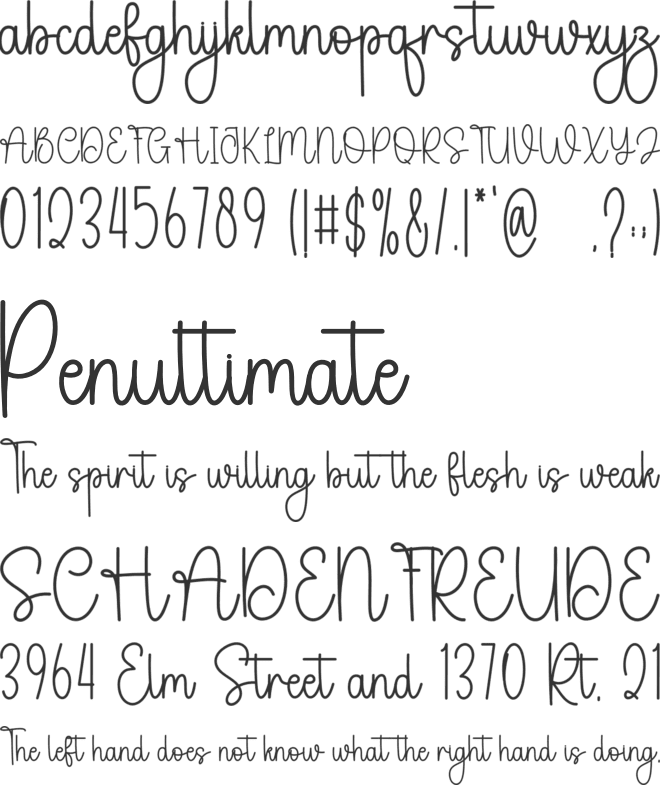 Diary Camellia font preview