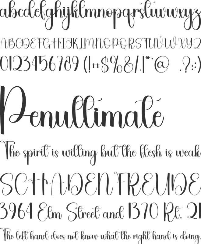 Biscuit Chocolate font preview