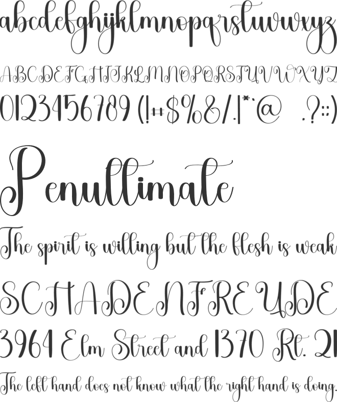 Blushing Wiskey font preview