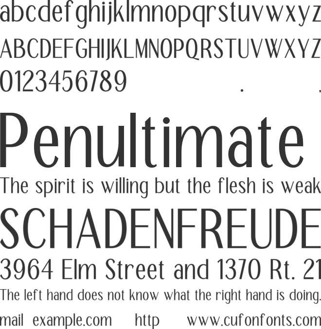 TT Remora Mini Edition font preview