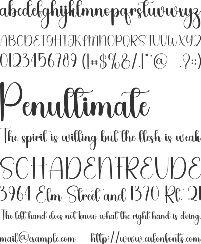 Summer Birthday font preview