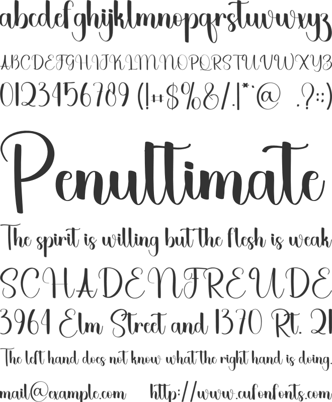 Diary Planner font preview