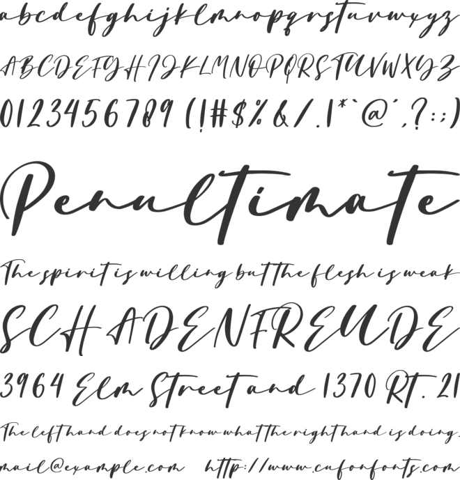 Portrait font preview