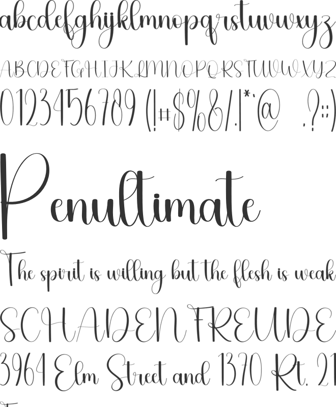 Winner font preview