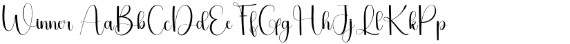 Winner font download