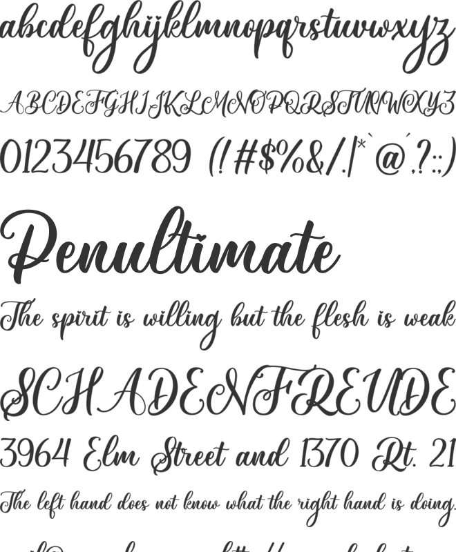 Montreal font preview