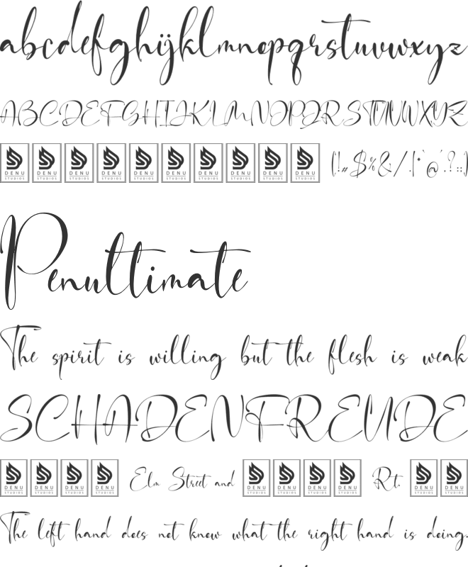 Fortune Messenger font preview