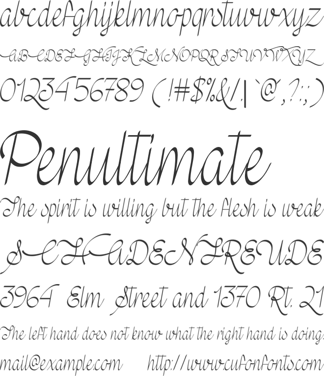 Mf Wedding Bells font preview
