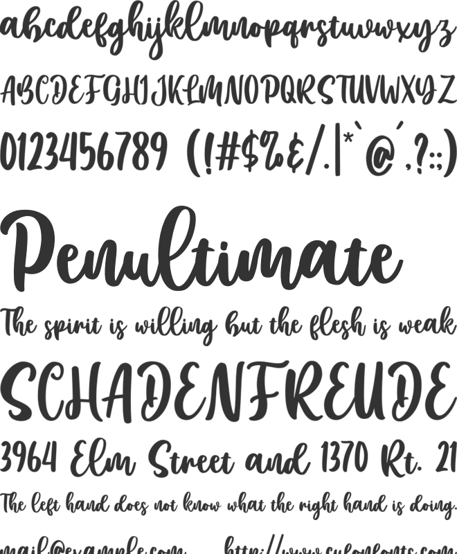 Love Care Script font preview