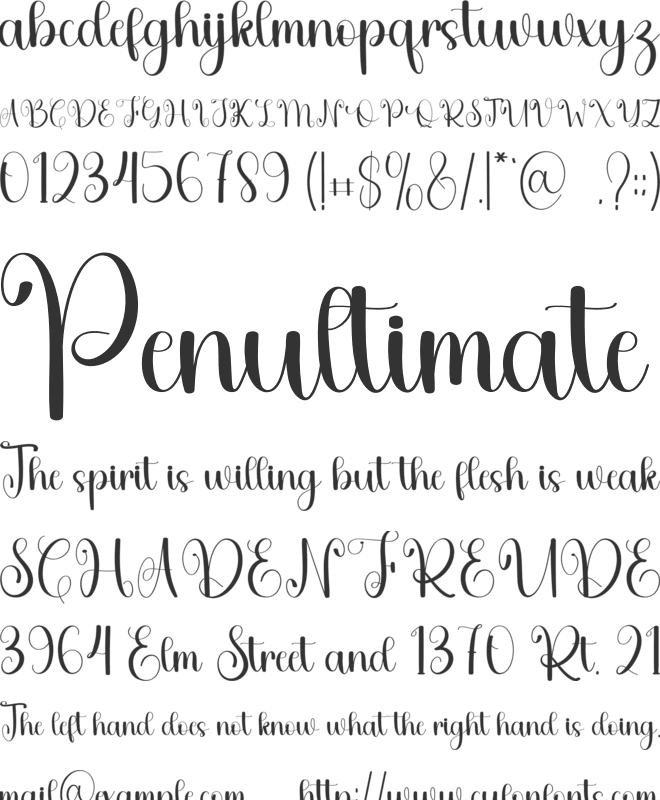 Sunshine Elegant font preview